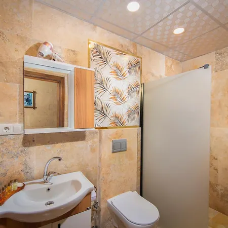 Hotel Cappadocia Tughan Stone House *